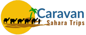 marrakech desert tour