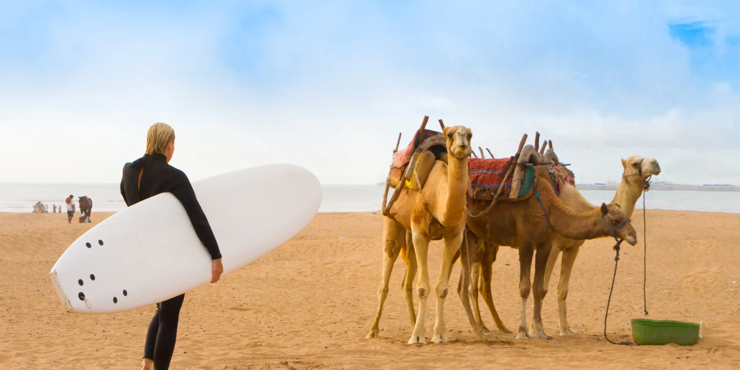 essaouira beach mogador