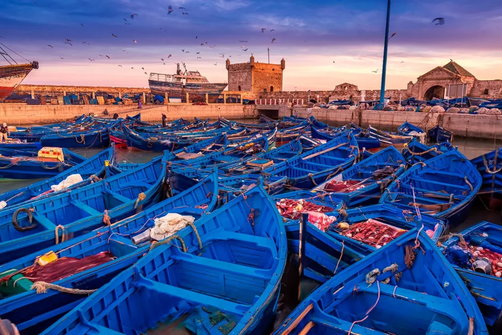 marrakech to essaouira day trip