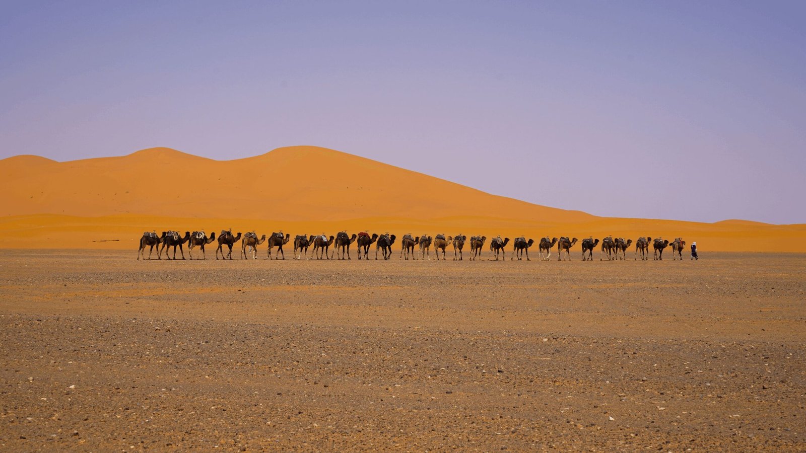 Contact our local desert travel planners for student travels and authentic journeys across Morocco. Plan Sahara trips, cultural routes, and local experiences.