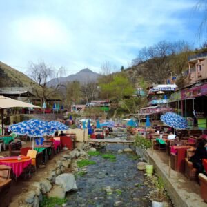 marrakech daily day trip atlas mountain ourika valley